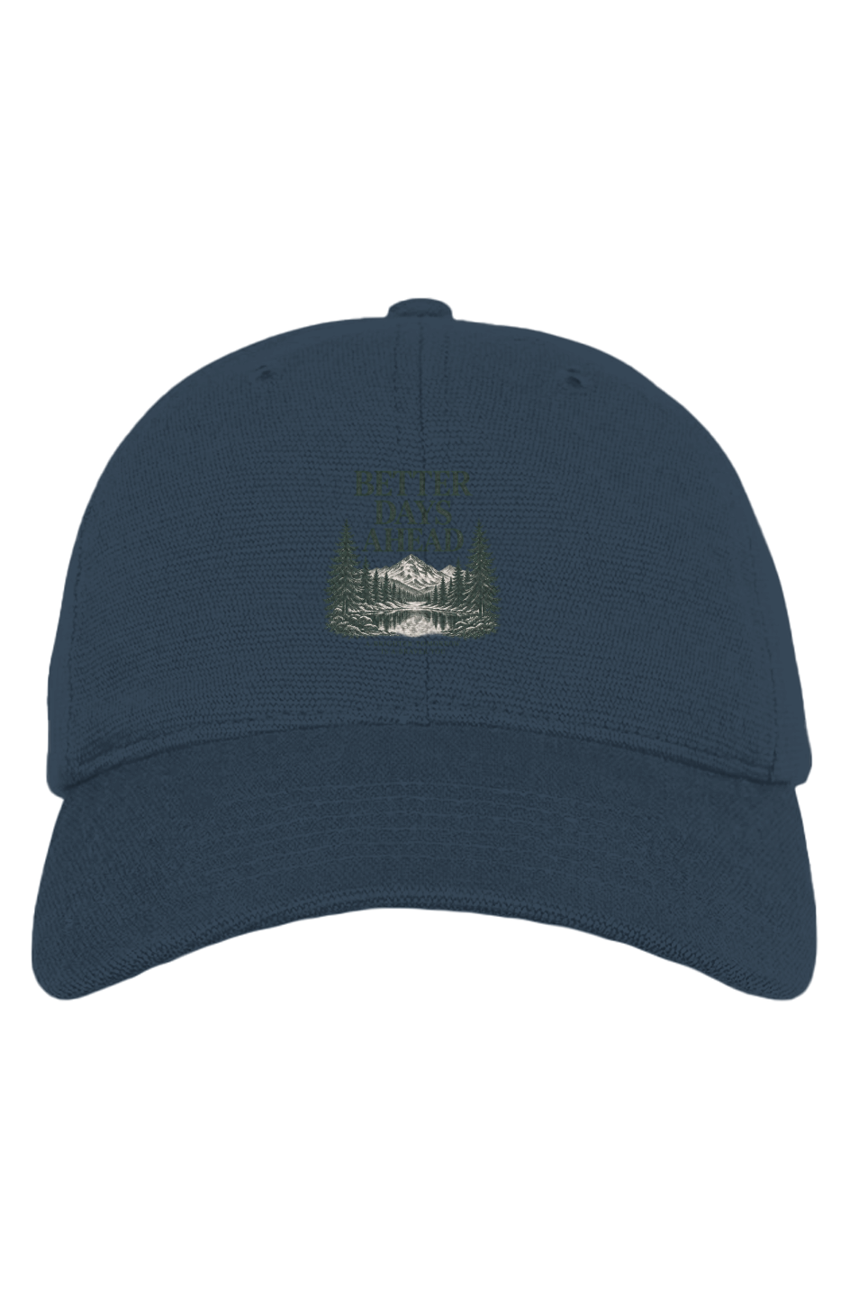 TRAUSTON Better Days Ahead Washed Hemp Cap — product image 3