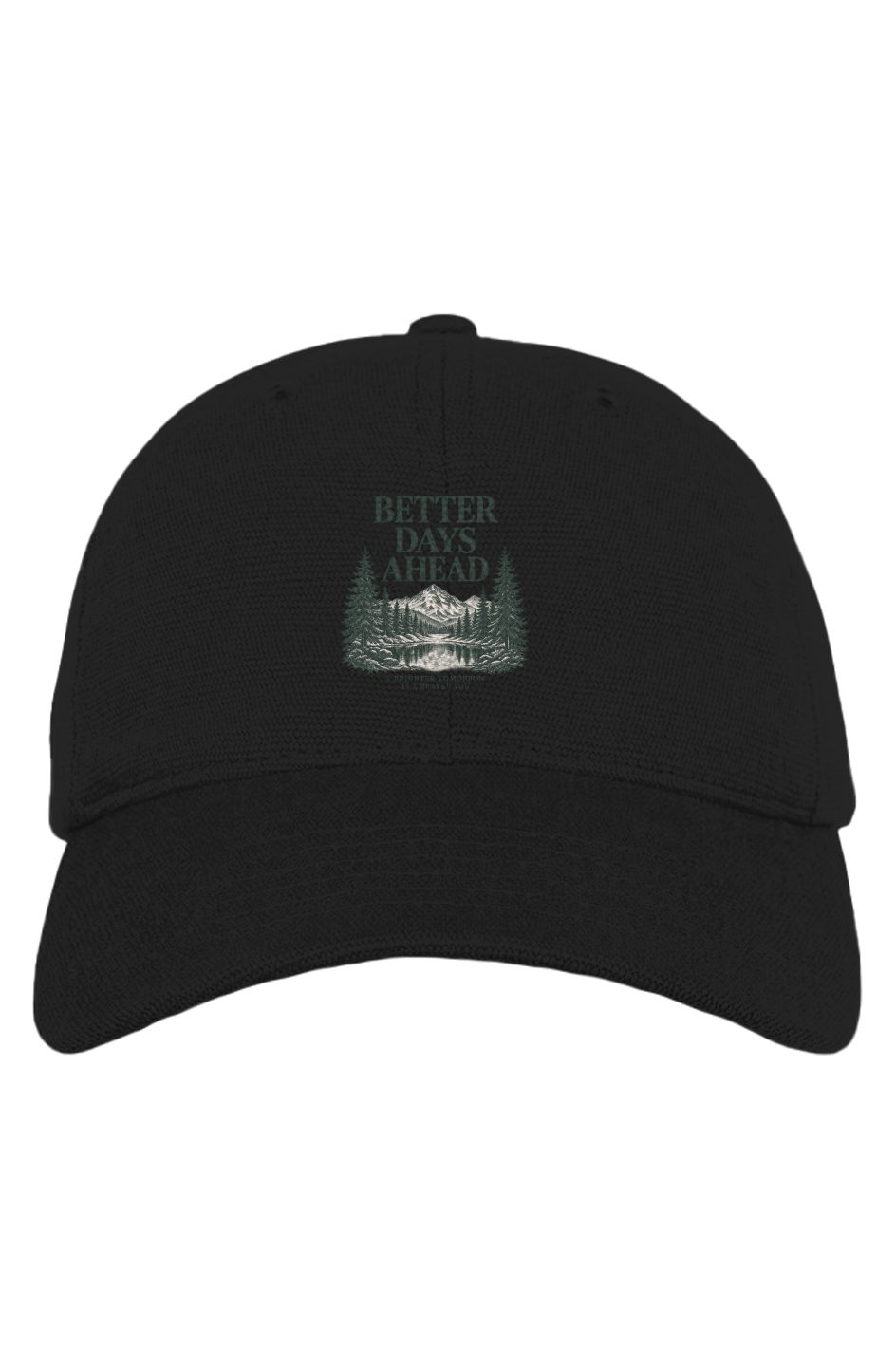 TRAUSTON Better Days Ahead Washed Hemp Cap — product image 2